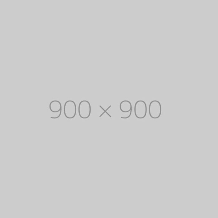 hongo 900x900-ph