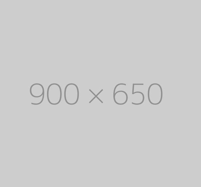 hongo 900x650-ph